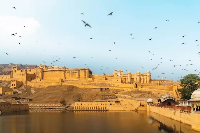 Birds flying around Amber Fort - Exploring the Majestic Palaces and Forts of Rajasthan