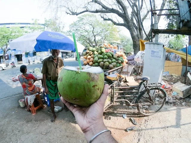 a person holding coconut - The Splendid Temples and Rich Culture of South India