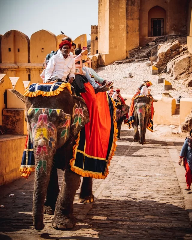 man in white long sleeve shirt riding elephant during daytime - Exploring the Majestic Palaces and Forts of Rajasthan